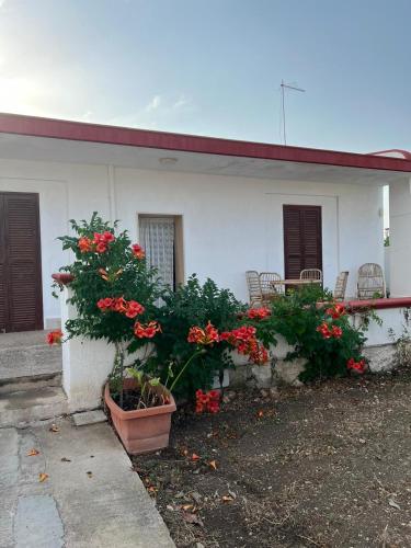 Villa Nicole — 4-Star Luxury Hotel in Leporano Marina, Italy
