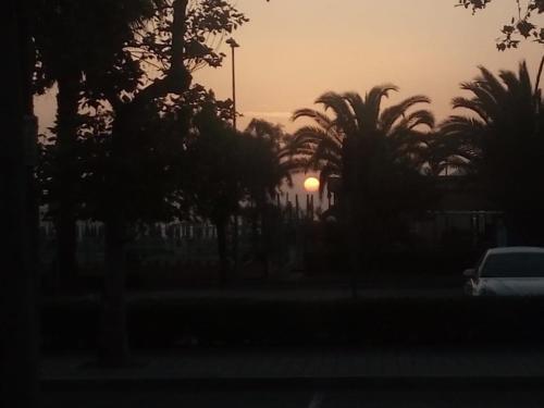 Hotel Cesare — Giulianova — photo 2