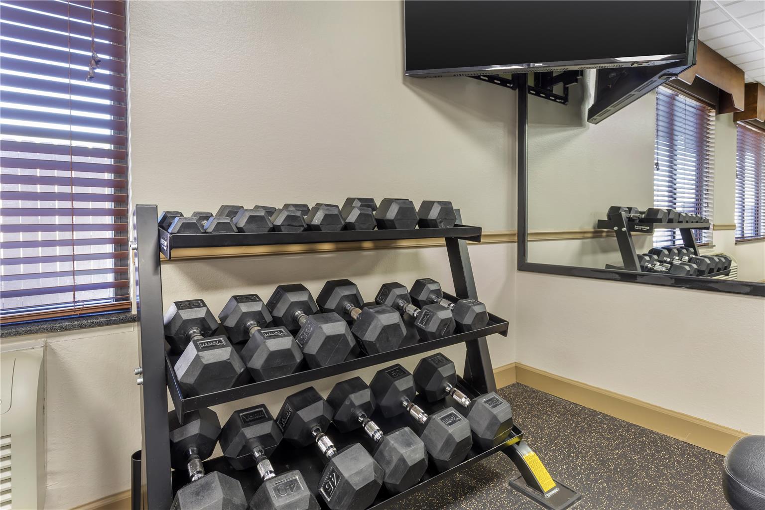 Best Western Plus Suites Greenville - photo 29