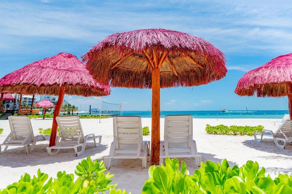 Oasis Palm All Inclusive