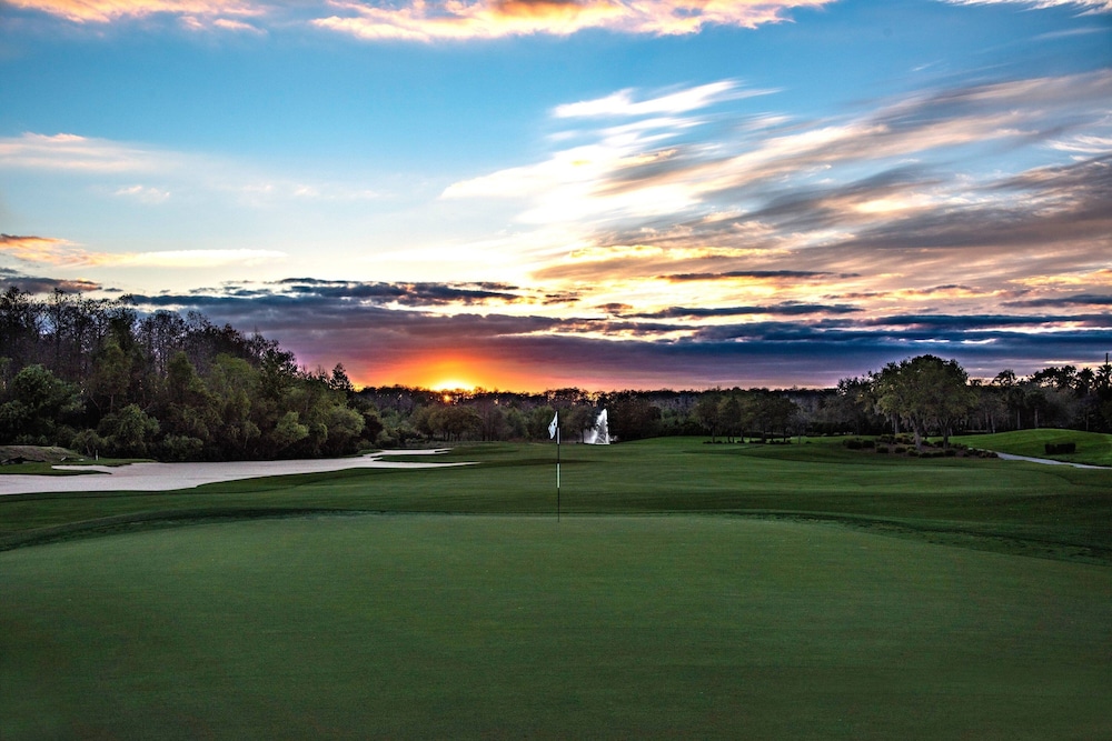 The Ritz Carlton Orlando Grande Lakes - photo 96