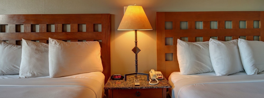 Best Western North I 25 Hotel - photo 6