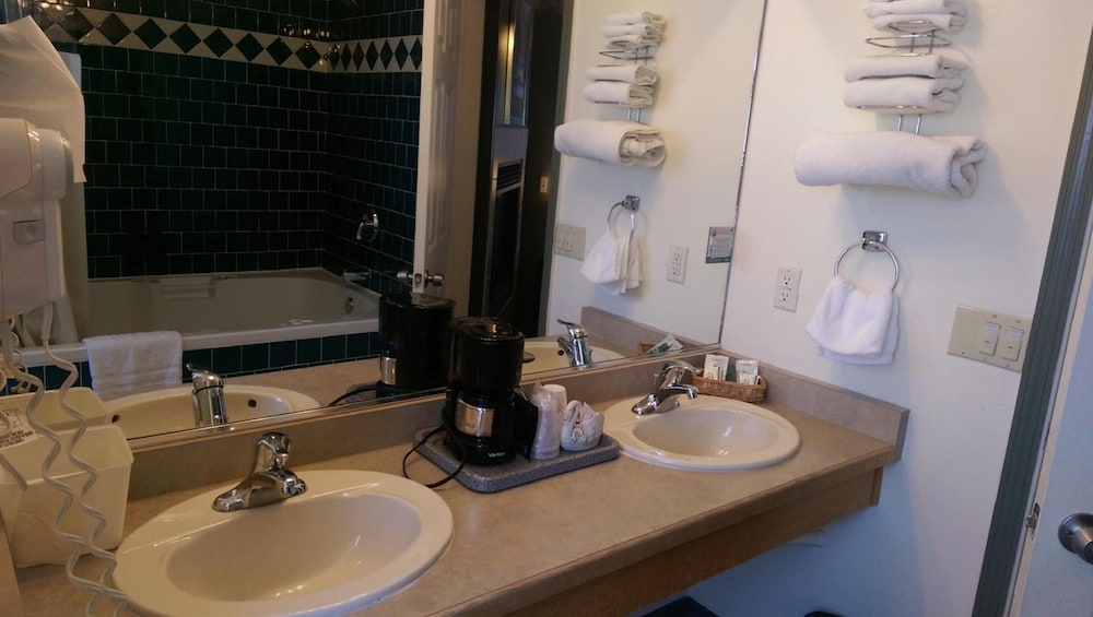Holland Inn & Suites - photo 41