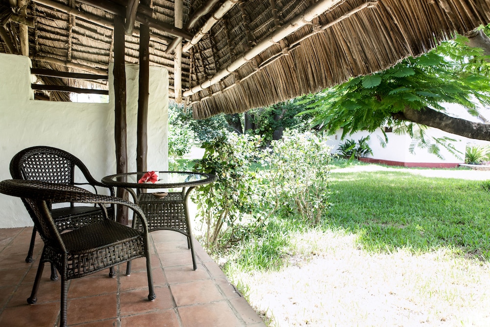 שטחי חוץ / גן