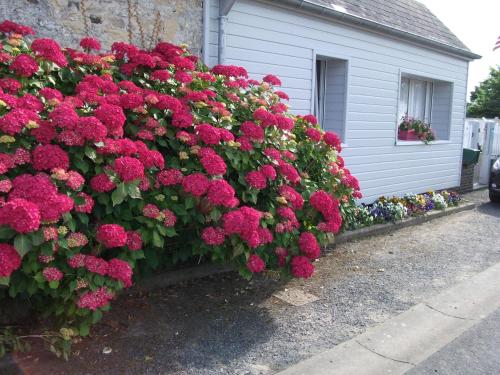 Les Hortensias 26 - last minute hotel in Unknown City