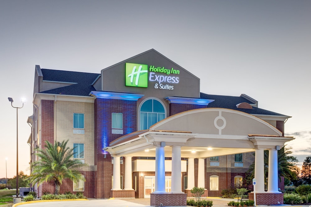Holiday Inn Express Hotel & Suites Raceland Highway 90 by IHG - photo 40