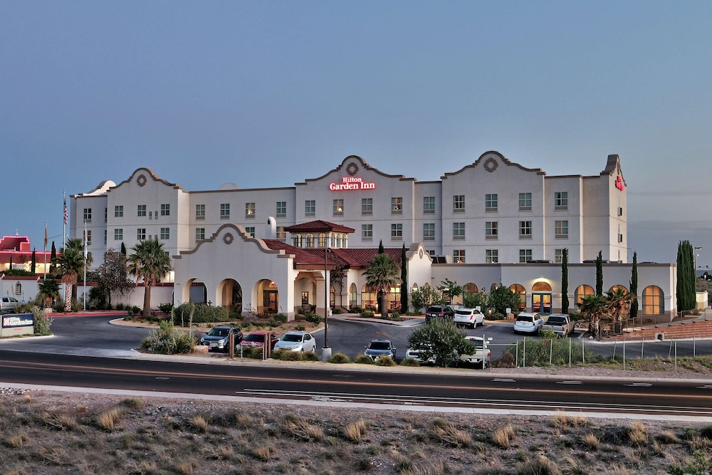 Hilton Garden Inn Las Cruces - photo 51