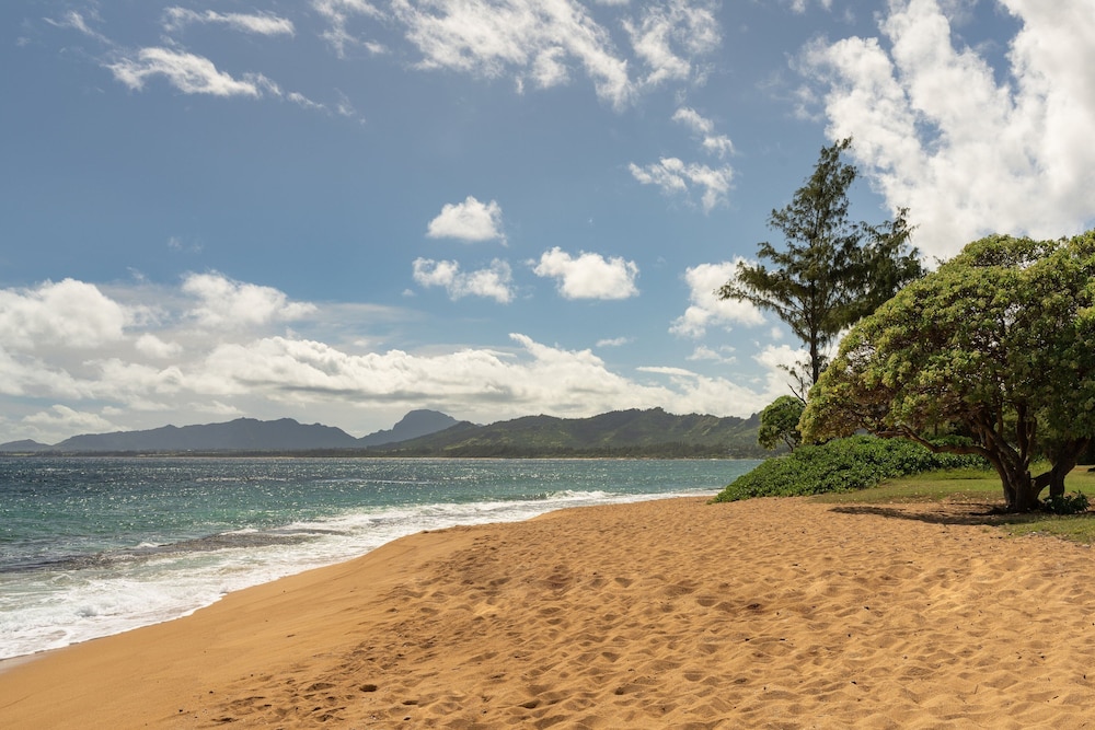Sheraton Kauai Coconut Beach Resort - photo 101