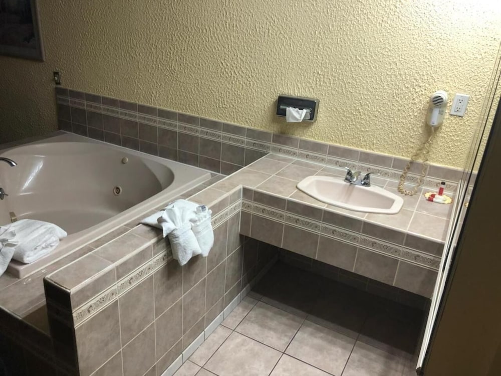 Schenectady Inn & Suites - photo 14
