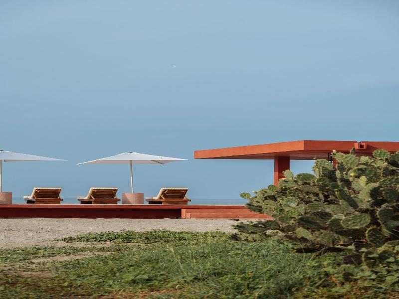 Caimán Puerto Escondido — Los Naranjos — photo 4