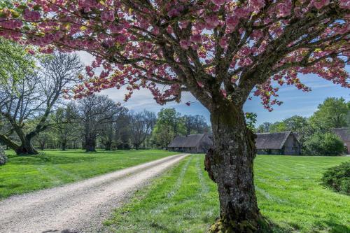 Gites Les Muids Les Oiseaux Et la Ferme — hotel in Brinon-Sur-Sauldre
