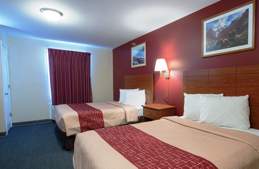 Red Roof Inn & Suites Dickinson - photo 8