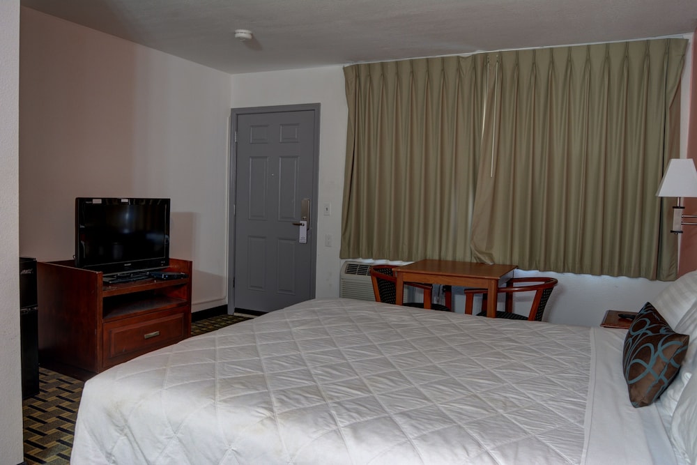 Palms Motel - photo 9