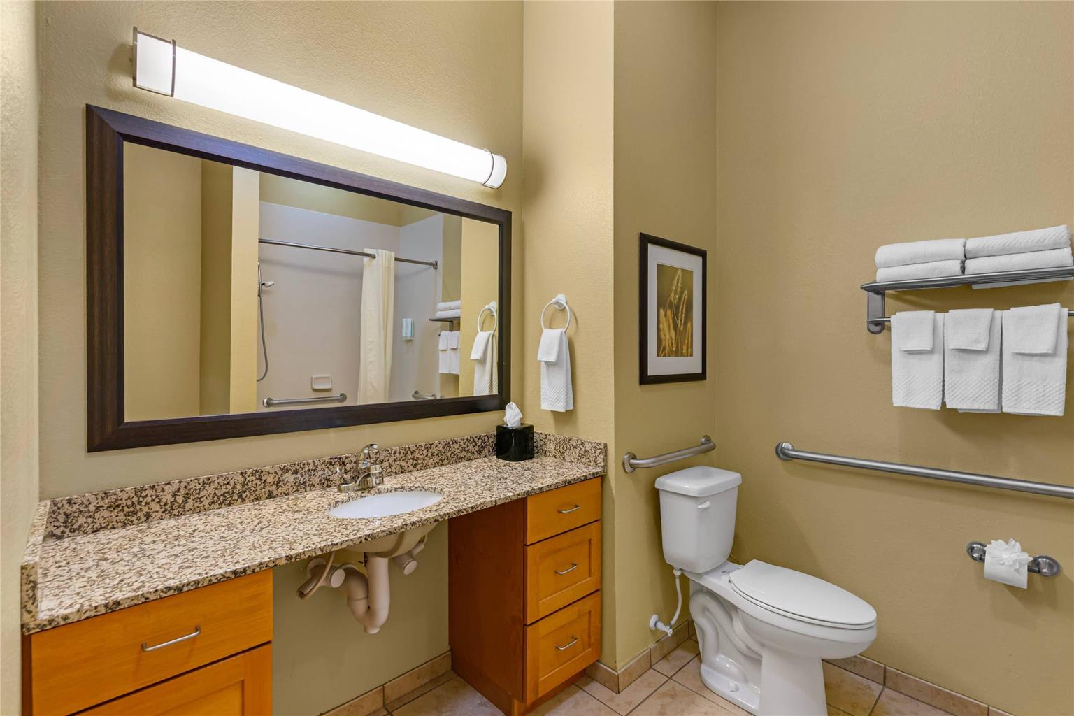 MainStay Suites Tioga - photo 25