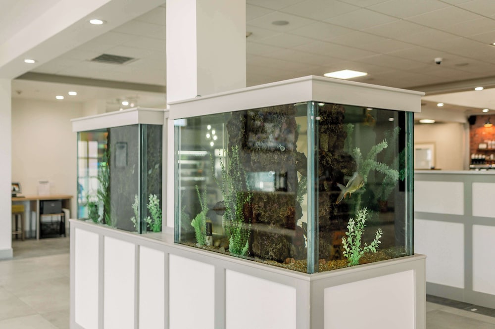 Hilton Garden Inn Outer Banks Kitty Hawk - photo 4