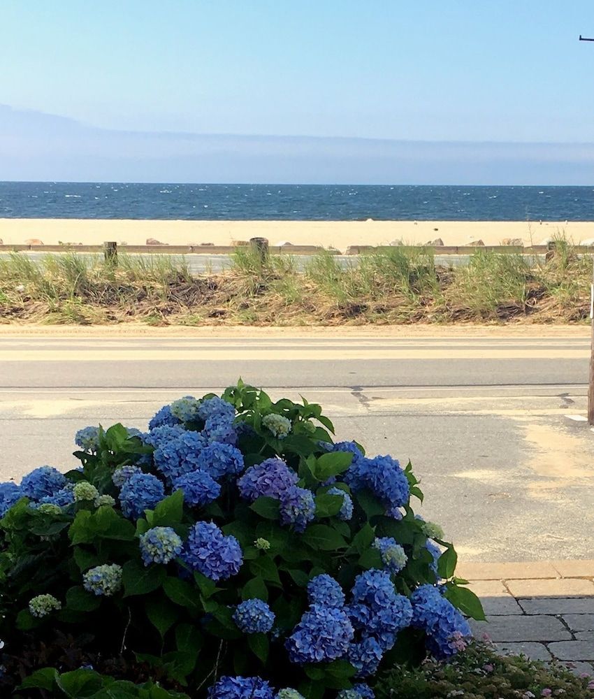 The Ocean View - carbon neutral hotel in Centerville