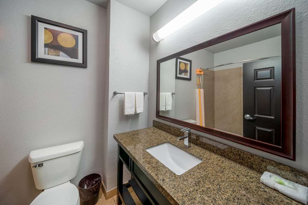 La Quinta Inn & Suites by Wyndham Mt. Pleasant - photo 38