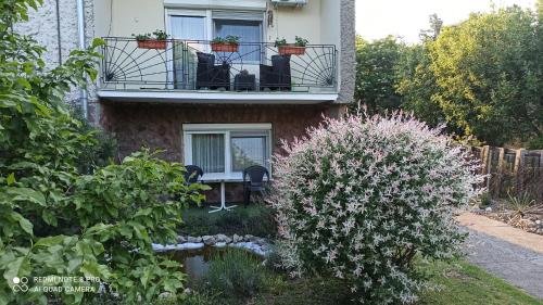 Kuća Donji Park in Becej, Serbia