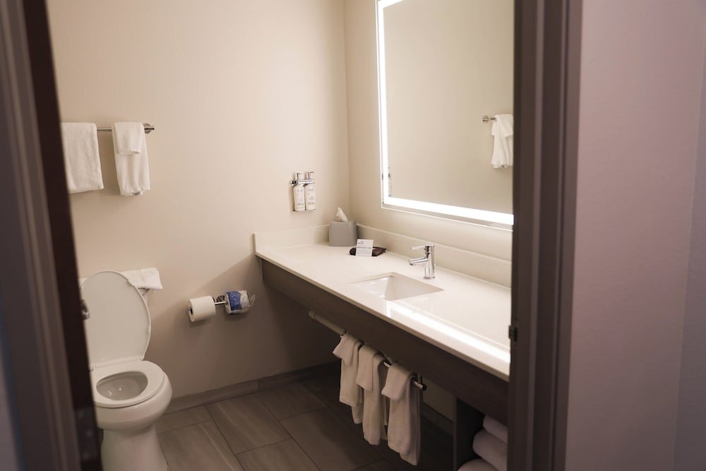 Holiday Inn Express Hotel & Suites Douglas by IHG - photo 25