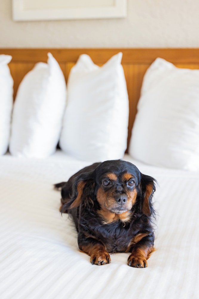 Millennium Hotel Maxwell House Nashville - photo 43