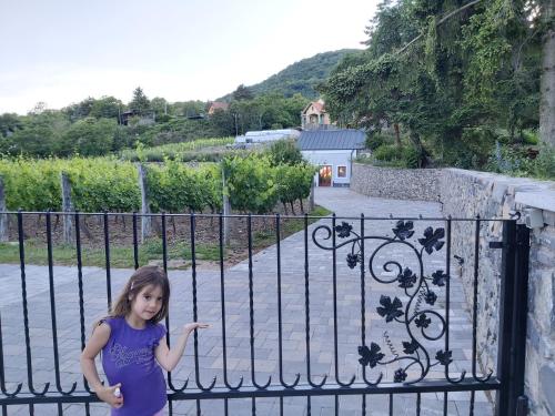 Villő Villa — 4-Star Luxury Hotel in Badacsonytomaj, Hungary
