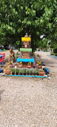 Motel Ain Mersa in Ifrane, Morocco