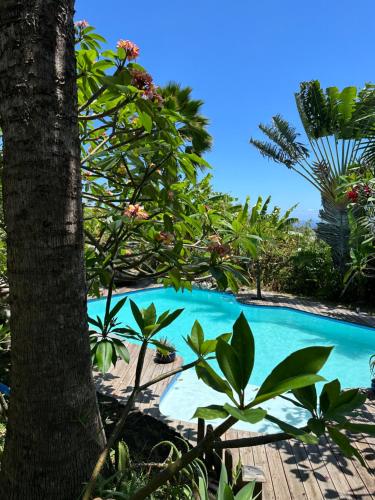 Villa tropicale avec piscine à 5 mn de la plage — 4-Star Luxury Hotel in Les Avirons, Réunion