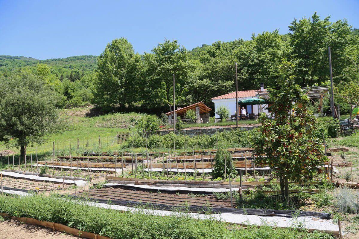 Karaiskos Farm in Volos, Greece