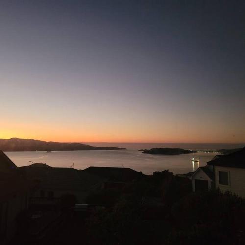Scenic Haven Warm ethnic charm — 4-Star Luxury Hotel in Wellington, New Zealand