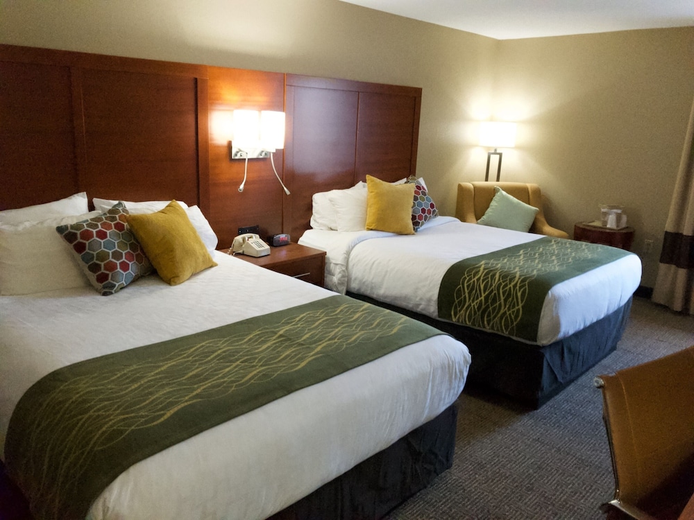 Comfort Inn Erie Near Presque Isle - photo 7