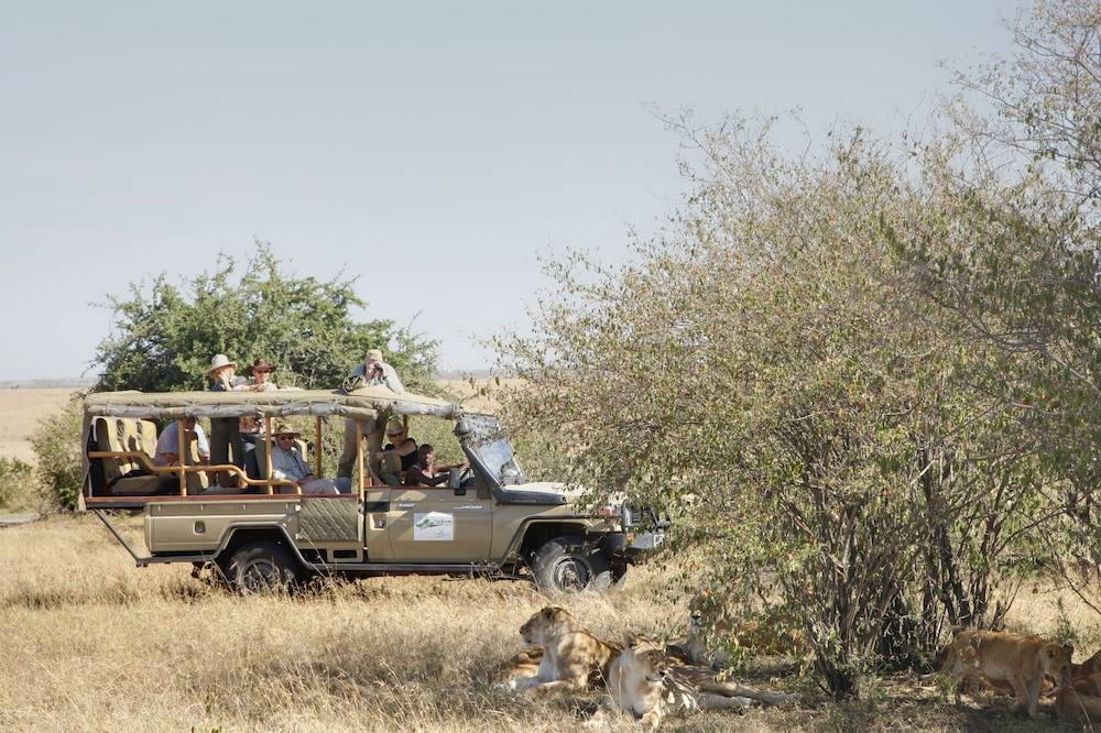 Safari