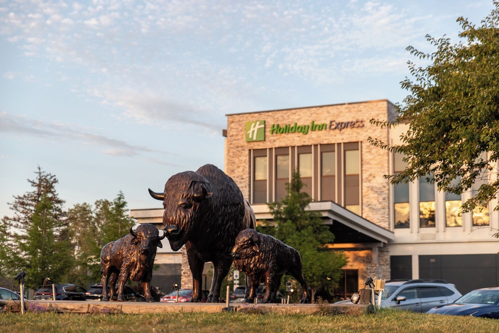 Holiday Inn Express Grand Island Niagara Falls by IHG - photo 63