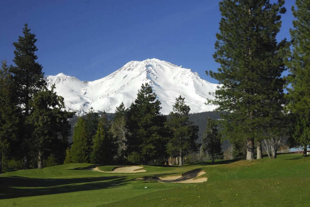Mount Shasta Resort - photo 52