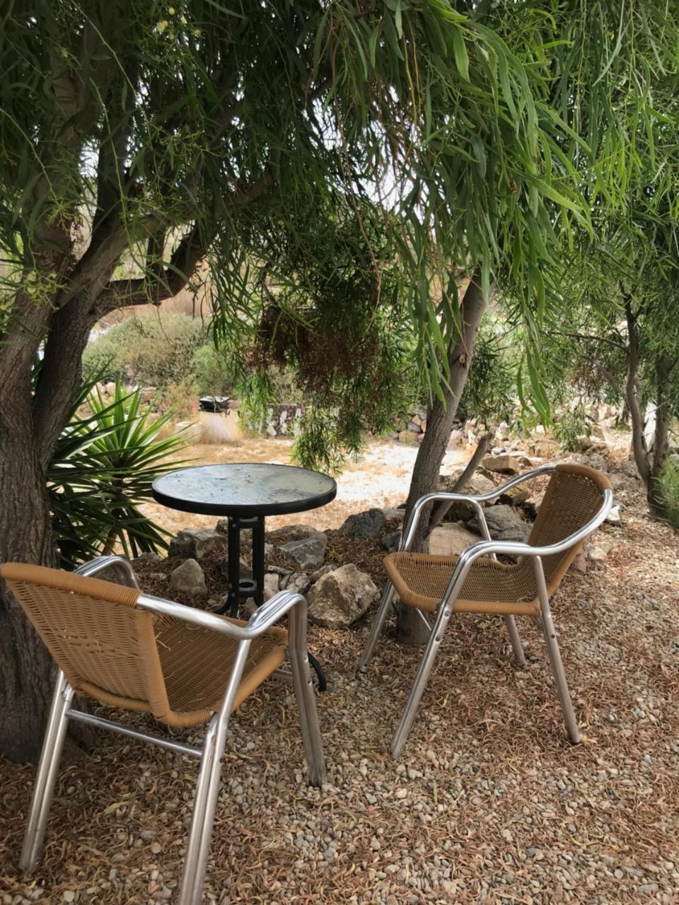 Bella Vista Rural Retreat — Arboleas — photo 3
