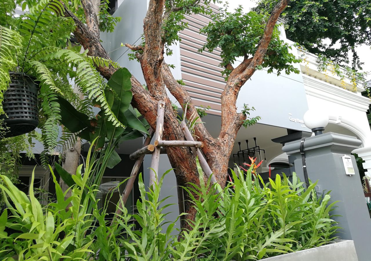Cozy Home by Nan — 4-Star Luxury Hotel in Chiang Mai, Thailand