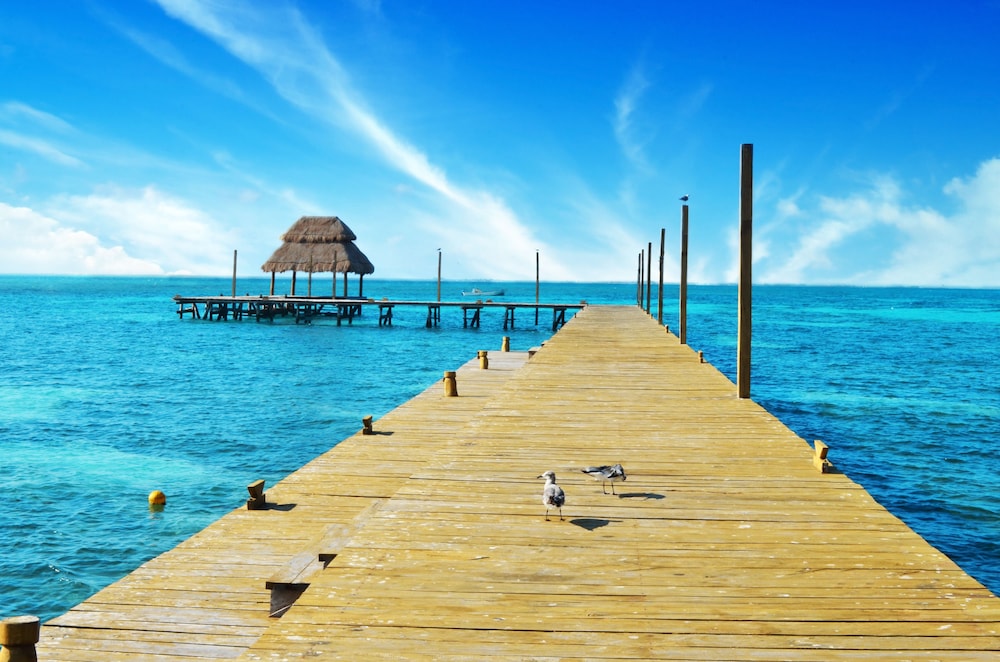 Dock