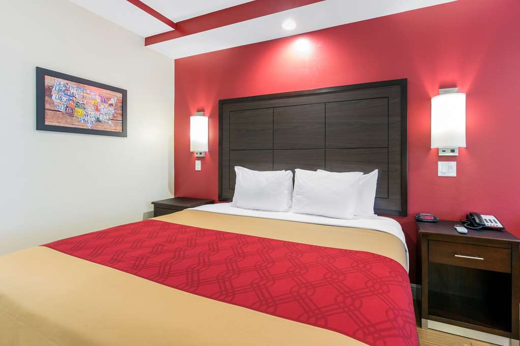 Econo Lodge Inn & Suites Houston Willowbrook - photo 29