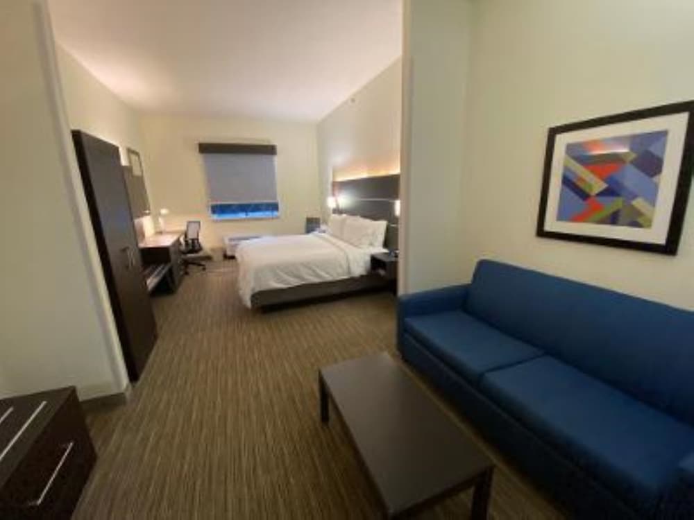 Holiday Inn Express Hotel & Suites Gadsden W Near Attalla by IHG - photo 7