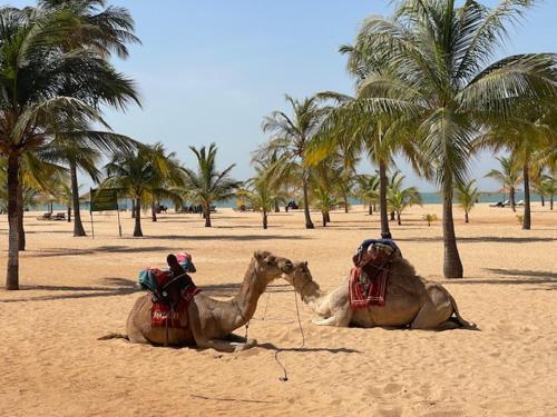 Keur Twins - last minute hotel in Unknown City