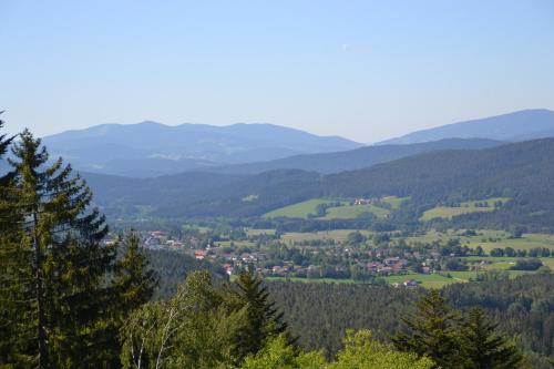 Erlebnispension Zum Wanderer Sepp — Arnbruck — photo 3