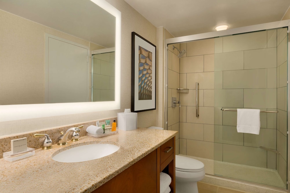 Hilton Chicago Magnificent Mile Suites - photo 33