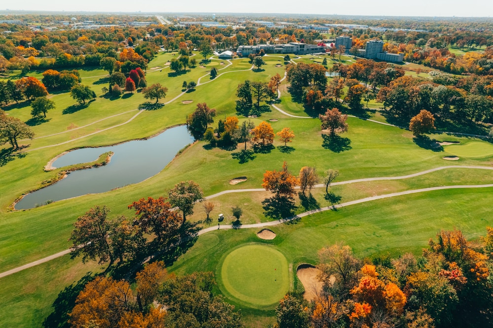Eaglewood Resort and Spa - photo 32