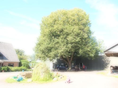 Gartenhaus - carbon neutral hotel in Unknown City