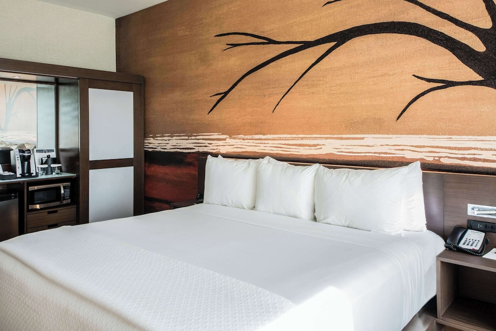 Cambria Hotel McAllen Convention Center - photo 11