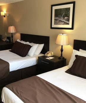Rimview Inn - photo 8
