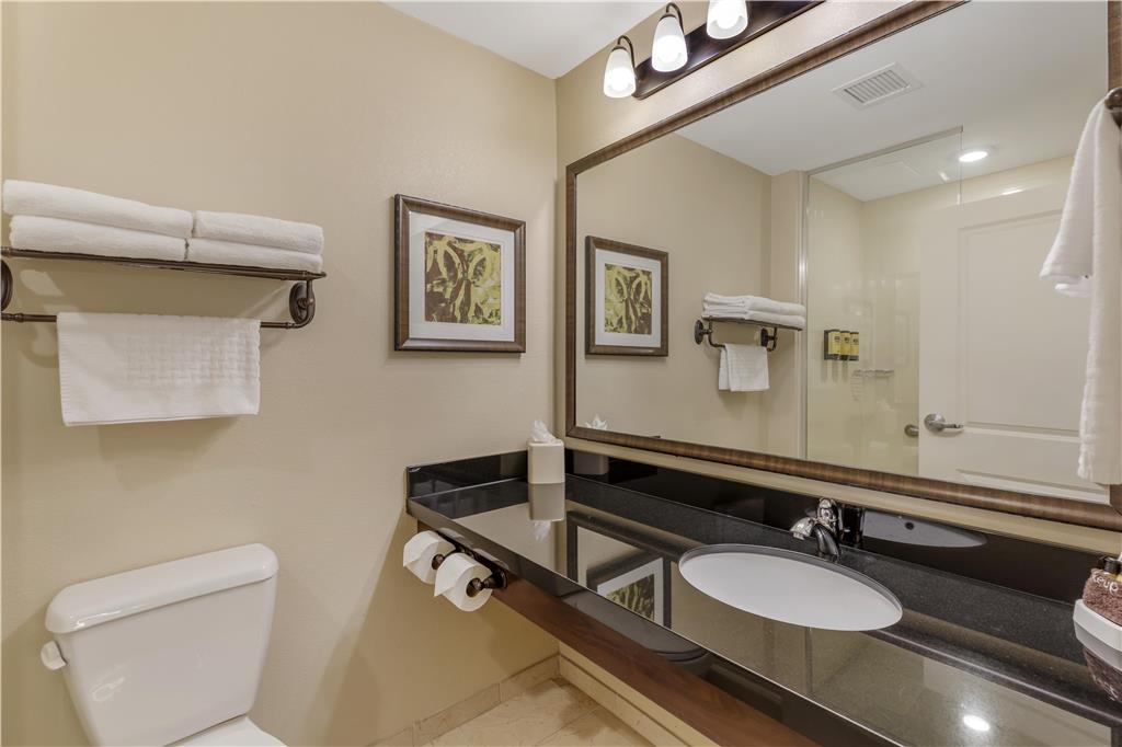 Best Western Plus Hudson Hotel & Suites - photo 26