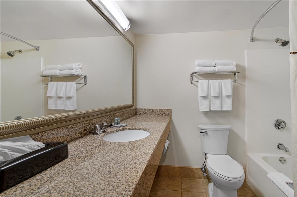 Best Western Royal Plaza Hotel & Trade Center - photo 61
