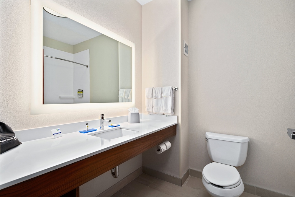 Holiday Inn Express Suites Van Buren Ft Smith Area by IHG - photo 44