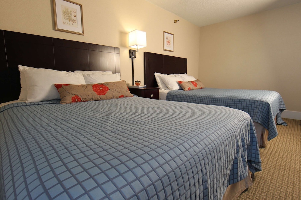 Harrison Hall Hotel - photo 13
