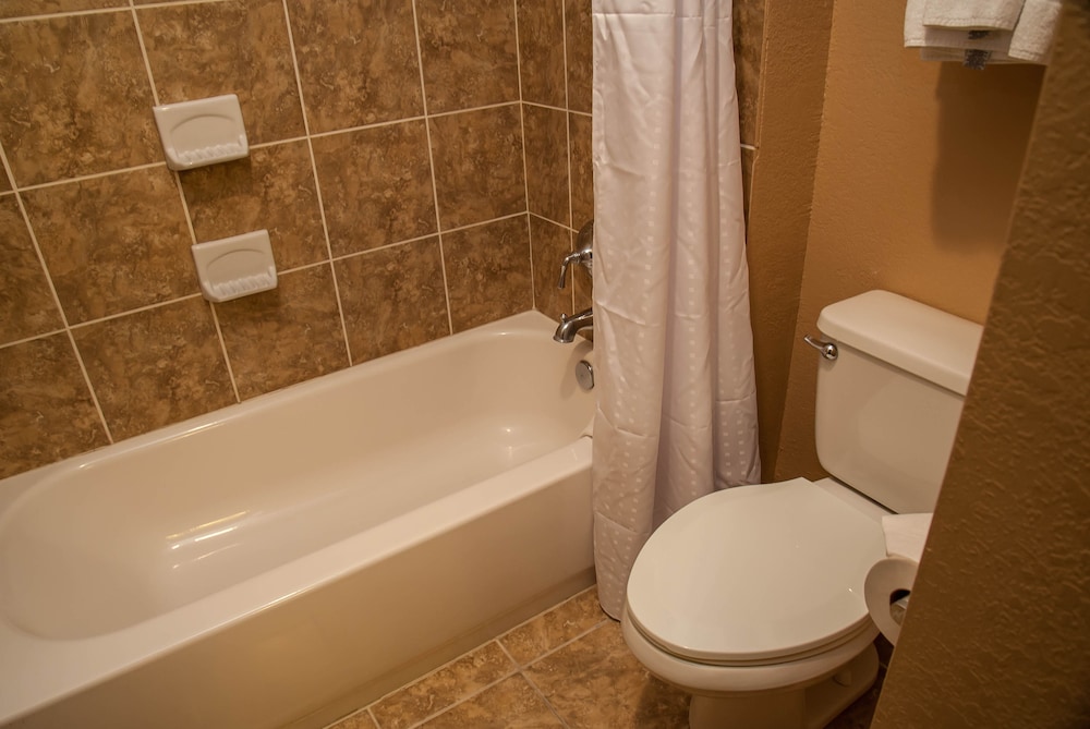 Holiday Inn Express Airport Tucson by IHG - photo 40